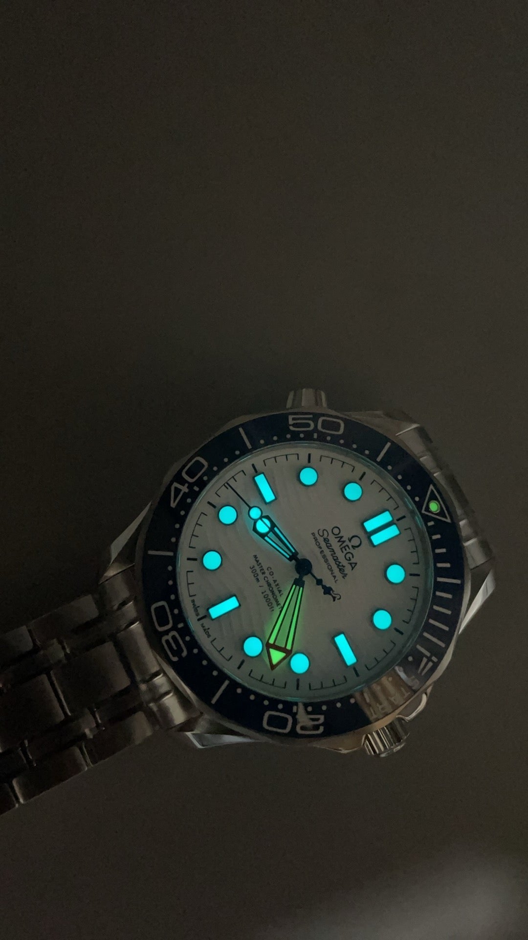 Seamaster Diver 300M