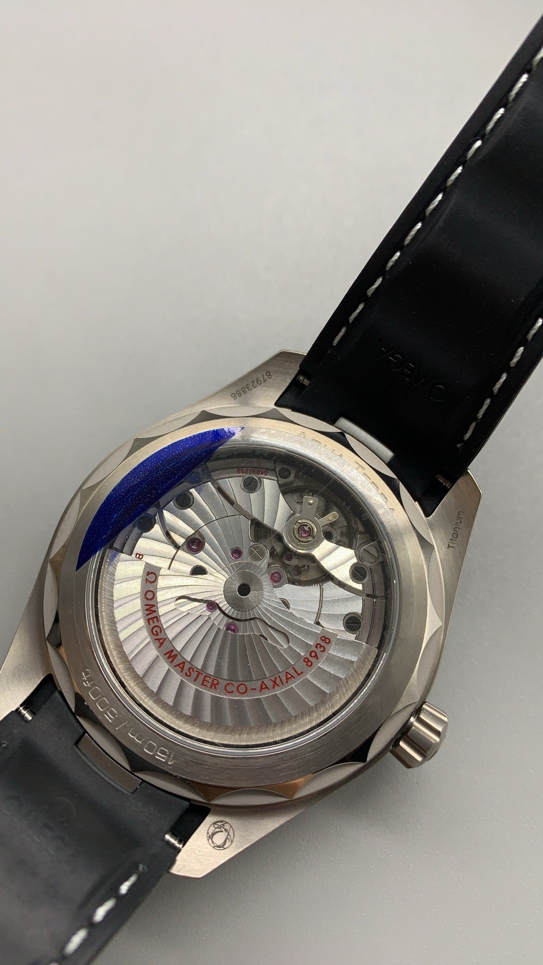 Seamaster Aqua Terra Worldtimer Titanium
