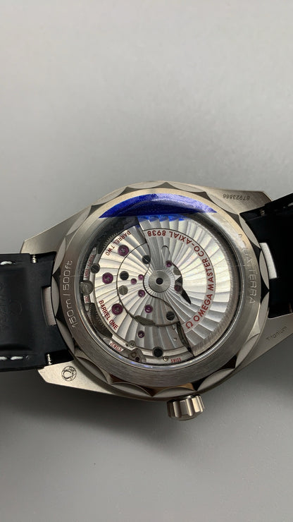 Seamaster Aqua Terra Worldtimer Titanium