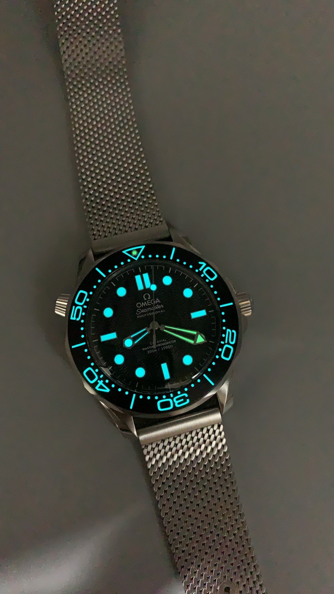 Seamaster Diver 300M