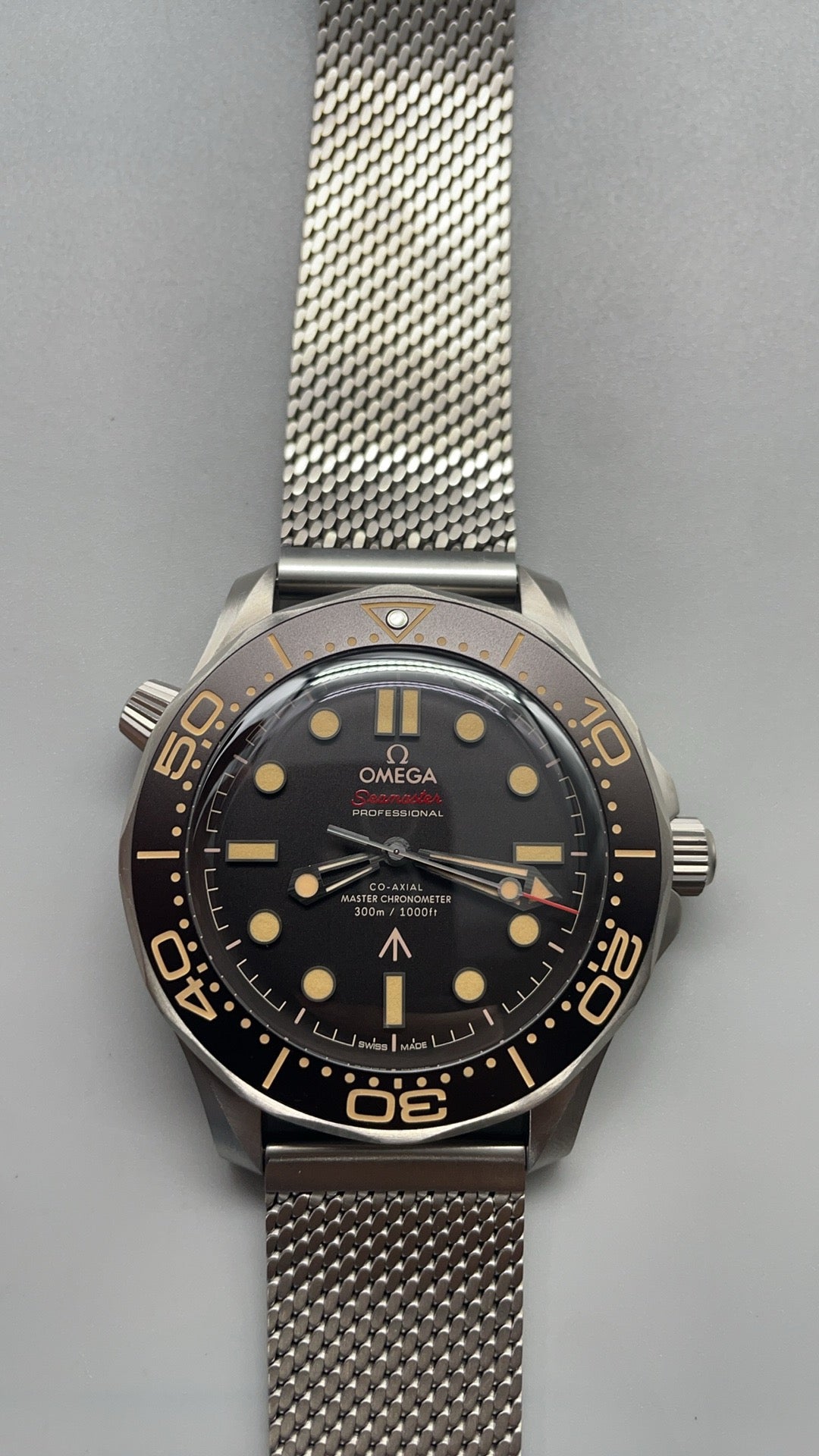 Seamaster Diver 300M