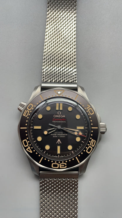 Seamaster Diver 300M