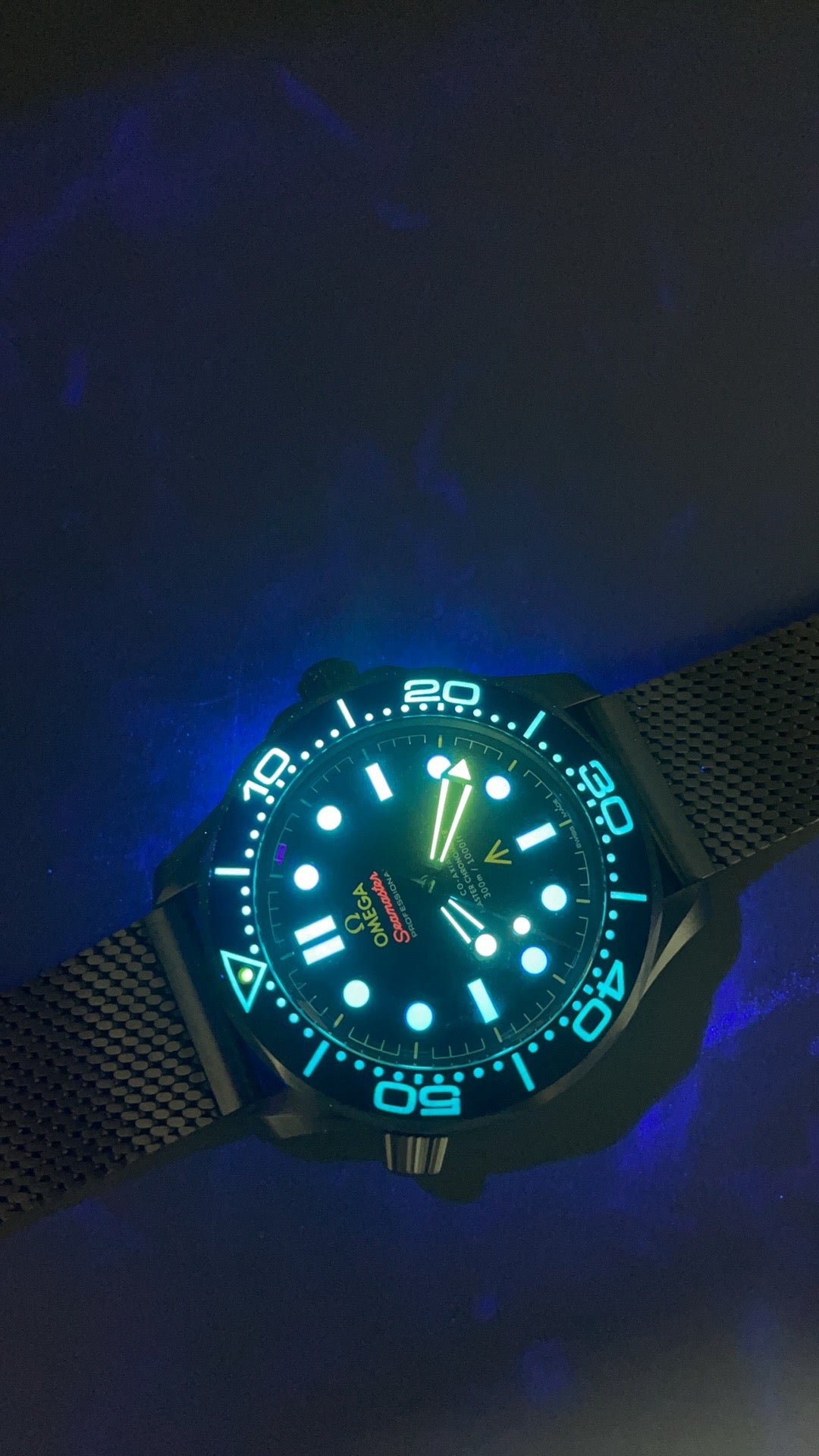 Seamaster Diver 300M