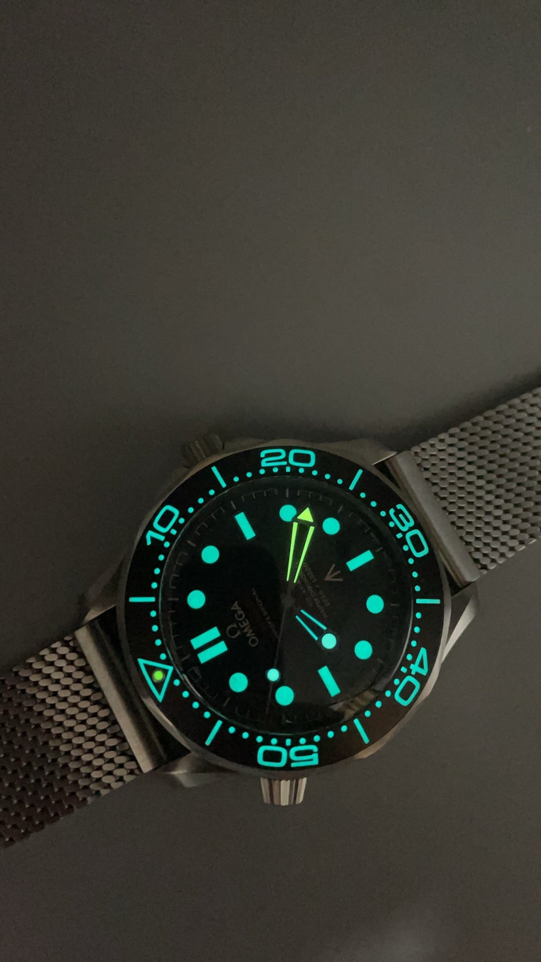 Seamaster Diver 300M