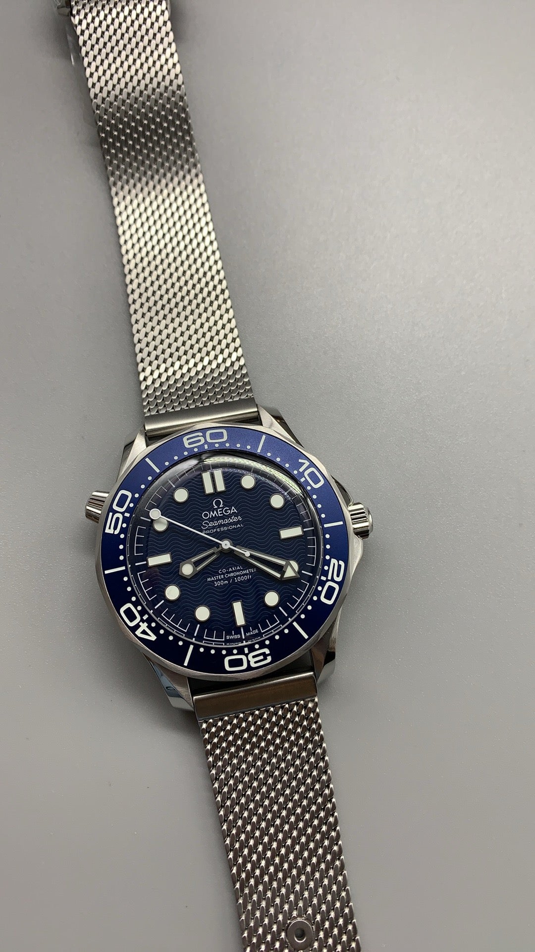 Seamaster Diver 300M