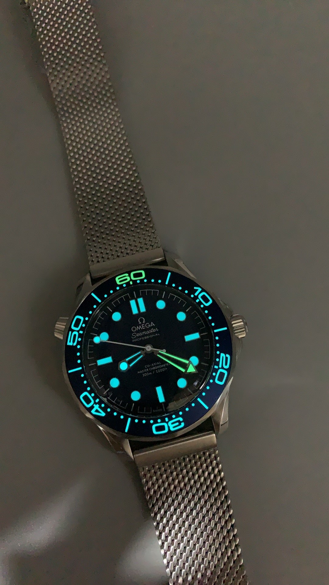 Seamaster Diver 300M